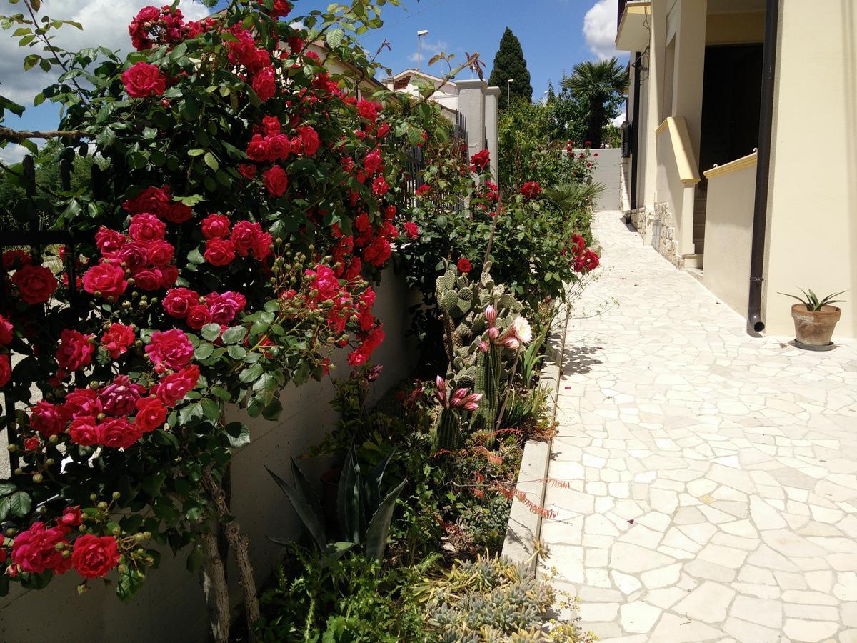 B&B Green Da Maria Matera Bagian luar foto